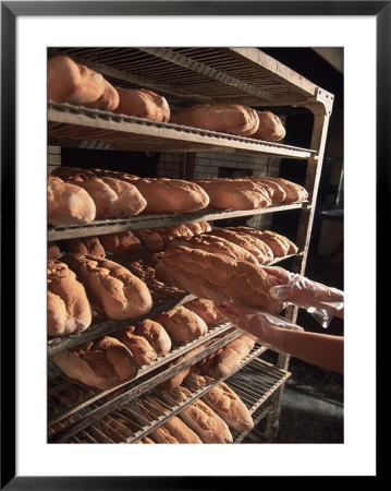 Hands Holding Loaf Of Bread, Providence, Ri by Kindra Clineff Pricing Limited Edition Print image