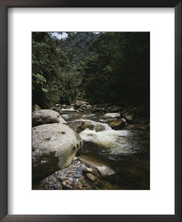 A Rushing River Through A Mountain Valley by Bill Curtsinger Pricing Limited Edition Print image