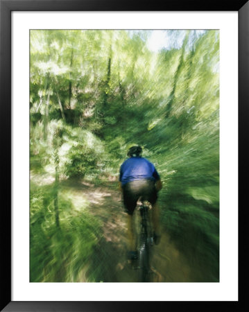 A Mountain Bicyclist Races Down A Forest Trail by Skip Brown Pricing Limited Edition Print image