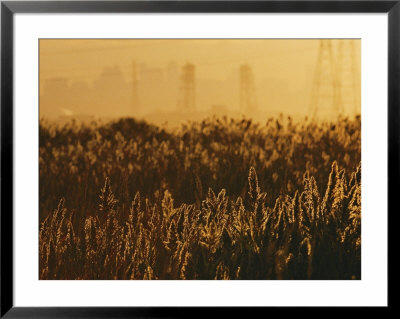 The Marshes Of The Meadowlands Glitter With Sunlight by Melissa Farlow Pricing Limited Edition Print image