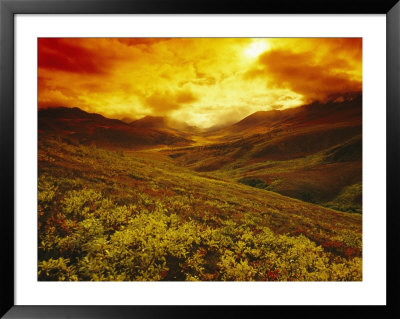 Fiery Sunset Over The Ogilvie Mountains by Paul Nicklen Pricing Limited Edition Print image