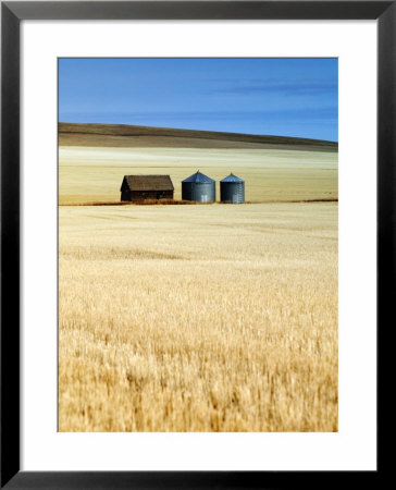 Grain Barn, Rosebud, Alberta, Canada by Walter Bibikow Pricing Limited Edition Print image