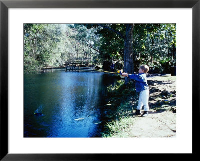 Little Boy Fishing Off Rocks by Ewing Galloway Pricing Limited Edition Print image