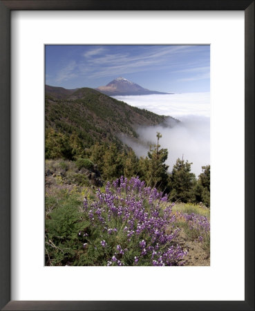 Mount Teide (Pico De Teide), Tenerife, Canary Islands, Spain by Sergio Pitamitz Pricing Limited Edition Print image
