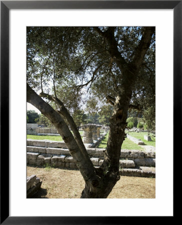 Olympia, Unesco World Heritage Site, Peloponnese, Greece, Europe by Oliviero Olivieri Pricing Limited Edition Print image