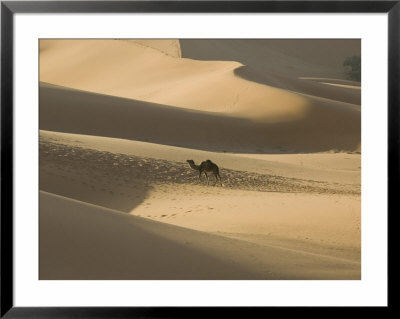 Camel Caravan On The Erg Chebbi Dunes, Merzouga, Tafilalt, Morocco by Walter Bibikow Pricing Limited Edition Print image