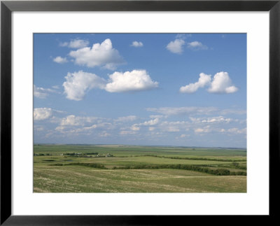 Prairie Farmland, North Dakota, Usa by Tony Waltham Pricing Limited Edition Print image