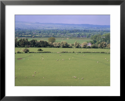 View From Rock Of Cashel, Plain Of Tipperary, County Tipperary, Eire (Ireland) by Bruno Barbier Pricing Limited Edition Print image