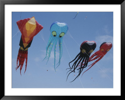 Octopus And Squid-Shaped Kites Fly Above Berkeley Marina Park by Stephen Sharnoff Pricing Limited Edition Print image