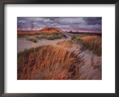 Sleeping Bear Dunes National Lakeshore Is Located On The Northeast Side Of Lake Michigan by Melissa Farlow Pricing Limited Edition Print image