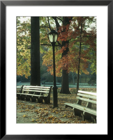 Central Park, Nyc, Ny by Kurt Freundlinger Pricing Limited Edition Print image