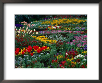 The Knot Garden, Stratford-Upon-Avon, United Kingdom by Juliet Coombe Pricing Limited Edition Print image
