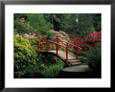 Red Bridge In Springtime, Koybota Gardens, Seattle, Washington, Usa by Darrell Gulin Pricing Limited Edition Print image