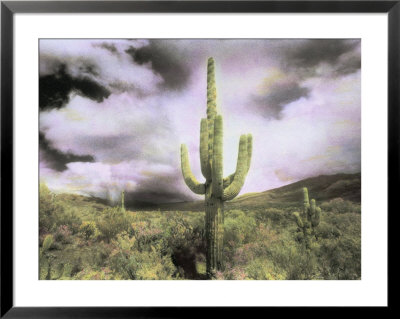 A Saguaro Cactus Points Towards A Stormy Summer Sky by Annie Griffiths Belt Pricing Limited Edition Print image