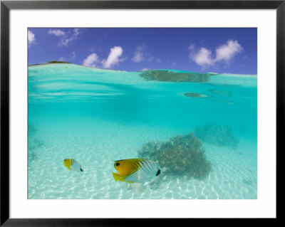 Le Maitai Dream Fakarava Resort, Fakarava, Tuamotus, French Polynesia by Michele Westmorland Pricing Limited Edition Print image