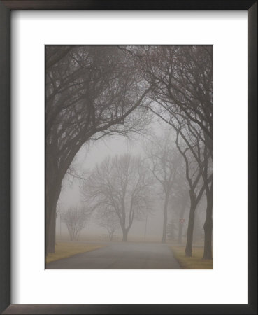 Autumn Fog In Assiniboine Park, Winnipeg, Manitoba by Keith Levit Pricing Limited Edition Print image