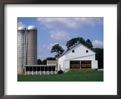 Amish Farm With Tobacco Dried In Barn, Pa by Barry Winiker Pricing Limited Edition Print image