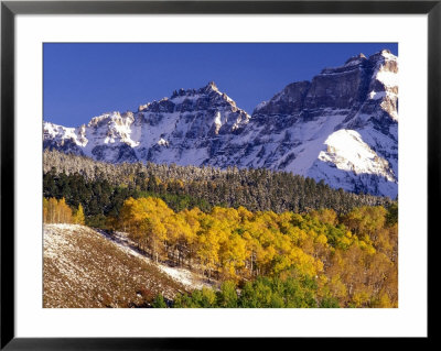 Fall Colors On Aspen Trees, Maroon Bells, Snowmass Wilderness, Colorado, Usa by Gavriel Jecan Pricing Limited Edition Print image