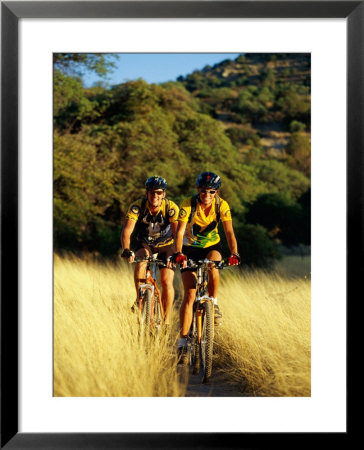 A Couple Of Mountain Bikers Ride Along The Dirt Path by Barry Tessman Pricing Limited Edition Print image