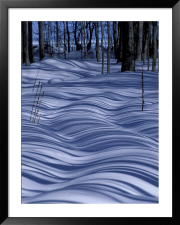 Tree Shadows On Snowy Two Track, Deerton, Michigan, Usa by Claudia Adams Pricing Limited Edition Print image