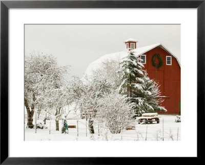 Red Barn In Fresh Snow, Whidbey Island, Washington, Usa by Trish Drury Pricing Limited Edition Print image