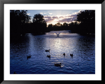 Fountain & Ducks In Water At Sunset by Howard Sokol Pricing Limited Edition Print image