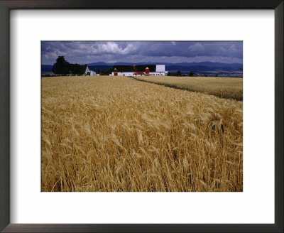 Storm Clouds Hover Over A Farm And Wheat Field by James L. Stanfield Pricing Limited Edition Print image