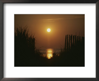 Sunrise Over The Ocean Silhouettes Dunes And Erosion Fences by Stephen St. John Pricing Limited Edition Print image