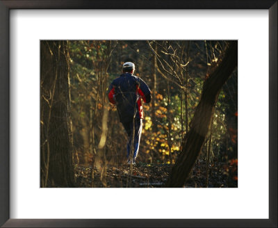 Jogger Running On Sun Dappled Trail Through Rock Creek Park by Raymond Gehman Pricing Limited Edition Print image