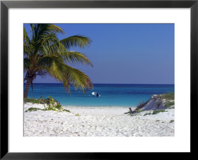 A Palm Tree On A White Sand Beach And A Motorboat by Raul Touzon Pricing Limited Edition Print image