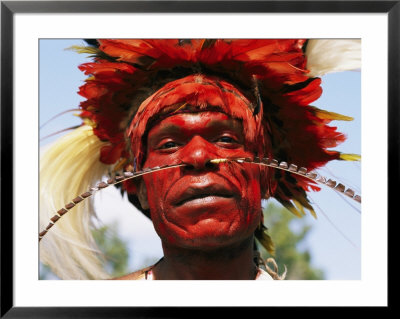 A Tribesman In Full Bird-Of-Paradise Regalia Glowers During A Festival by Jodi Cobb Pricing Limited Edition Print image