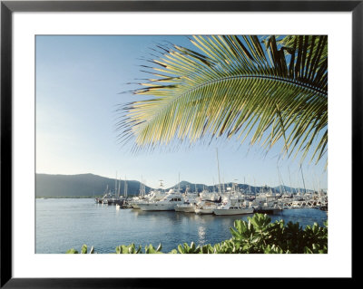 Harbor, Cairns, Australia by Jacob Halaska Pricing Limited Edition Print image