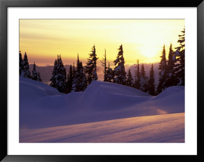 Sunset At Paradise, Mt. Rainier National Park, Washington, Usa by Jamie & Judy Wild Pricing Limited Edition Print image