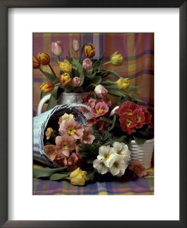 Primula And Tulipa, Vase And Basket On Ckecked Material by Erika Craddock Pricing Limited Edition Print image