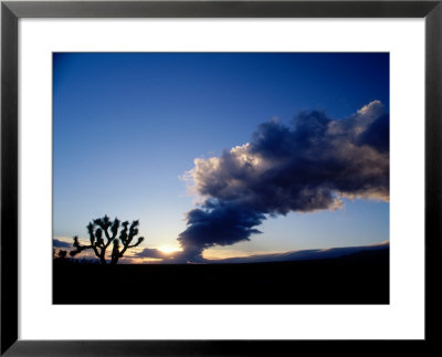 Storm Clouds Over Mojave Desert, Ca by Gary Conner Pricing Limited Edition Print image