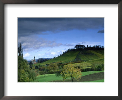 Vineyards In Autumn, Northern Bavaria by Berndt Fischer Pricing Limited Edition Print image