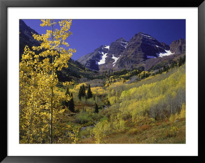 Valley With Autumn Foliage, Maroon Bells, Co by David Carriere Pricing Limited Edition Print image
