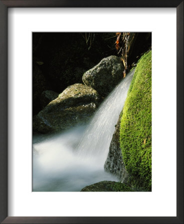Creek Rushing Over Moss-Covered Stones by Marc Moritsch Pricing Limited Edition Print image