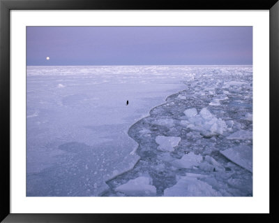 The Wake Of The Nathaniel B. Palmer As It Plows Through The Ice In The Frozen Southern Ocean by Maria Stenzel Pricing Limited Edition Print image