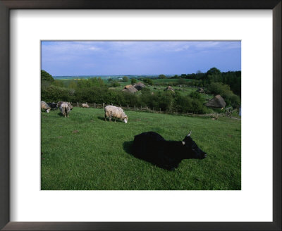 Pastoral Landscape With Cattle And Sheep by Sisse Brimberg Pricing Limited Edition Print image