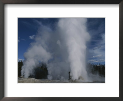 Giant Geyser, Feather And Feather Satellite Vents, At Yellowstone by Norbert Rosing Pricing Limited Edition Print image