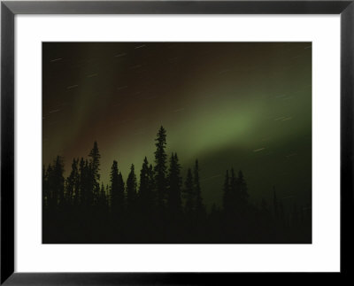 The Aurora Borealis Puts On A Light Show Above The Mackenzie River by Raymond Gehman Pricing Limited Edition Print image