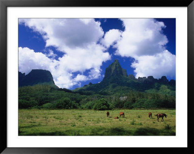 Horses Grazing In Field, Opunohu Valley, Moorea by Walter Bibikow Pricing Limited Edition Print image