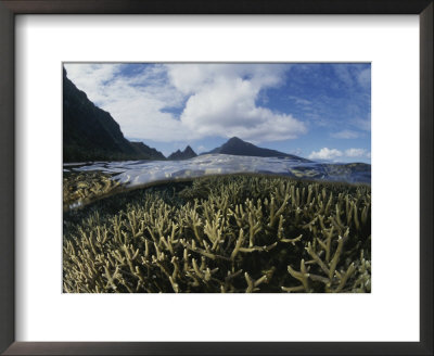 A Split-Level View Of Mountains And Coral Reef by Randy Olson Pricing Limited Edition Print image