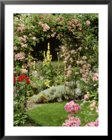 Rose Arch, View To Verbascum & Santolina Fitz House, Wiltshire, by Brian Carter Pricing Limited Edition Print image