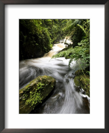 Waterfall, Rwanda by Ariadne Van Zandbergen Pricing Limited Edition Print image