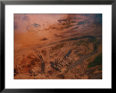 Aerial View Of A Logging Operation by Michael Nichols Pricing Limited Edition Print image