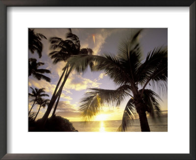 Sunset And Palm Tree, Kihei Beach, Maui, Hawaii, Usa by Darrell Gulin Pricing Limited Edition Print image