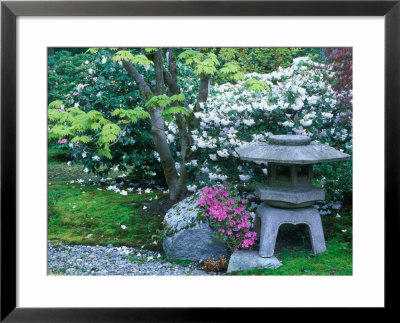 Japanese Garden, Seattle Arboretum, Seattle, Washington, Usa by Rob Tilley Pricing Limited Edition Print image