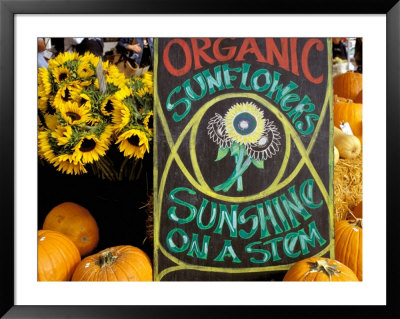 Organic Sunflowers And Pumpkins, Ferry Building Farmer's Market, San Fransisco, California, Usa by Inger Hogstrom Pricing Limited Edition Print image